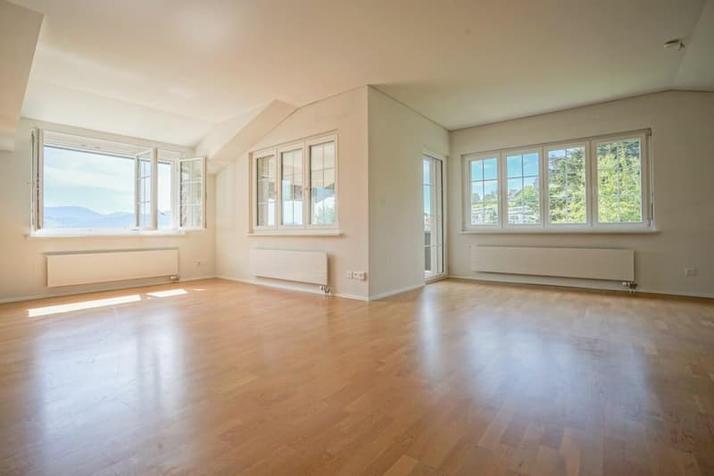 Täglich grüsst der Säntis - grosszügige 3.5-Zimmer-Wohnung mit herrlichem Weitblick (5)