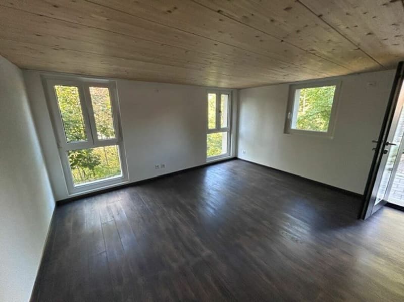 Geräumige 2.5 Zi-Wohnung mit Sitzplatz (5)