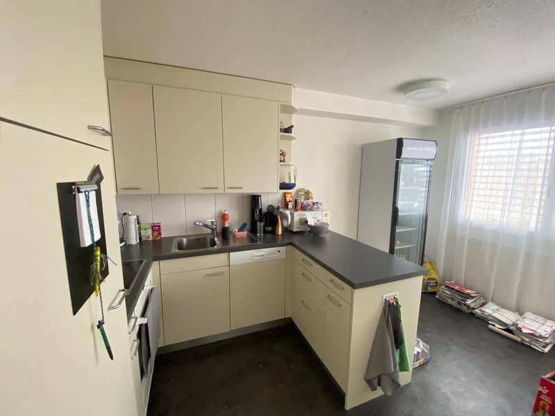 Bello appartamento 3.5 locali a Schönbühl (83 m2) (3)