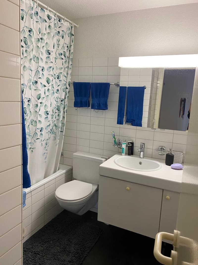 Bello appartamento 3.5 locali a Schönbühl (83 m2) (7)