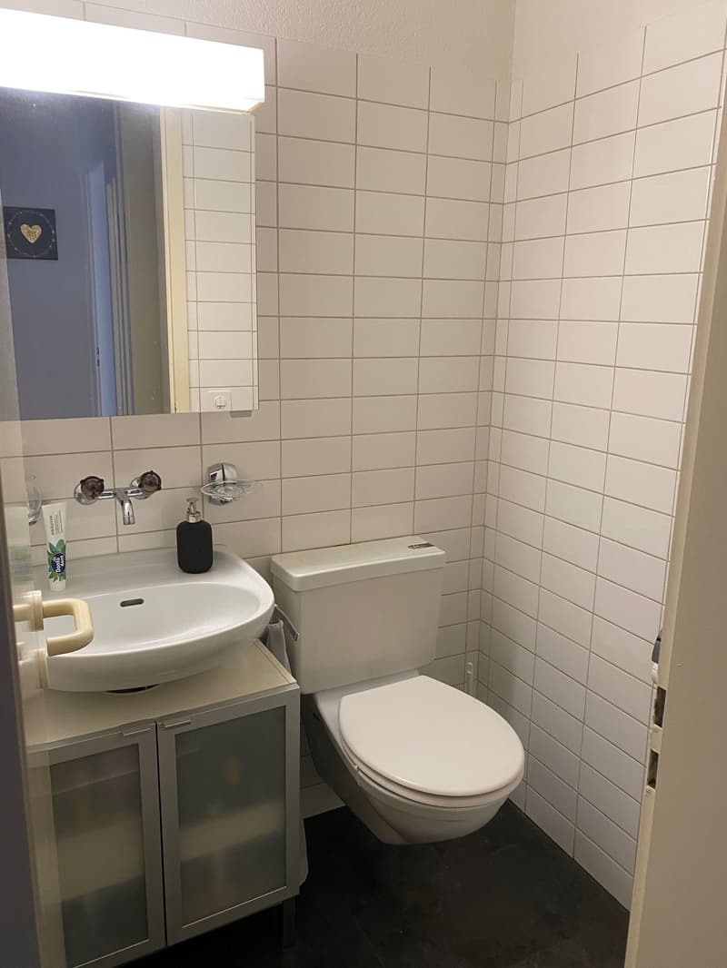 Bello appartamento 3.5 locali a Schönbühl (83 m2) (8)