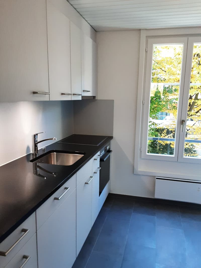 neu renovierte 5-Zimmerwohnung im Länggassquartier in Bern (1)