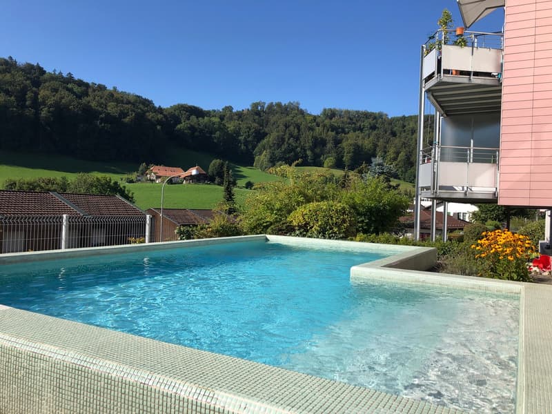 pool with water, trees, mountains in the background, houses, and a balcony