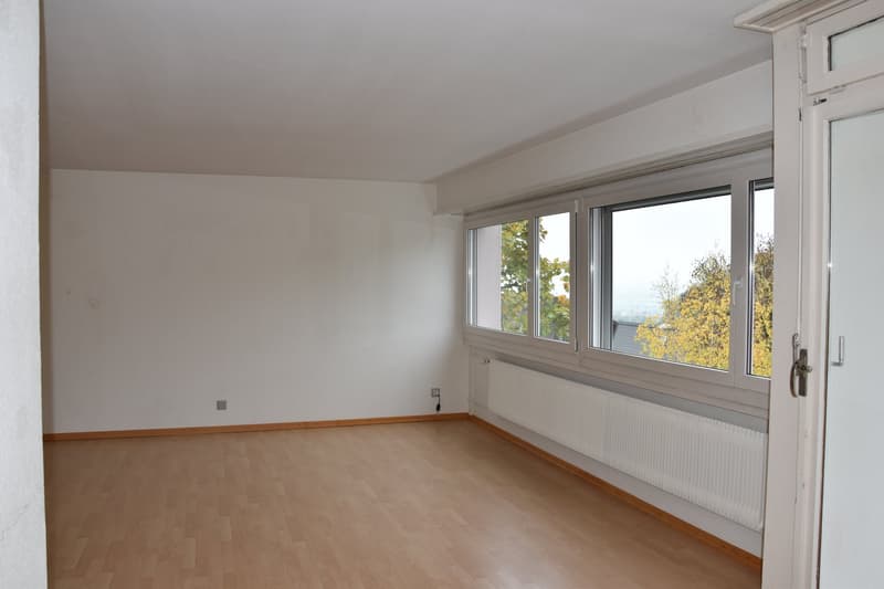empty room with wooden floor, white walls, large windows, radiators
