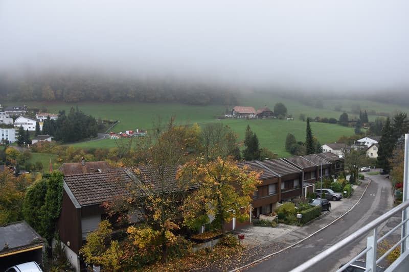 row of terraced houses, large field, misty area, street with parked cars, trees