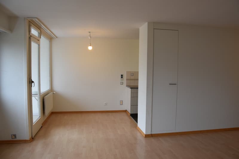 Empty room with hardwood floor, sliding door, glass door, built-in closet, and built-in cabinet.