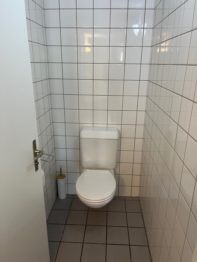 a small tiled bathroom with a white toilet, roll of toilet paper, and a toilet brush