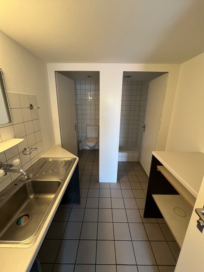 bathroom with toilet, shower and sink