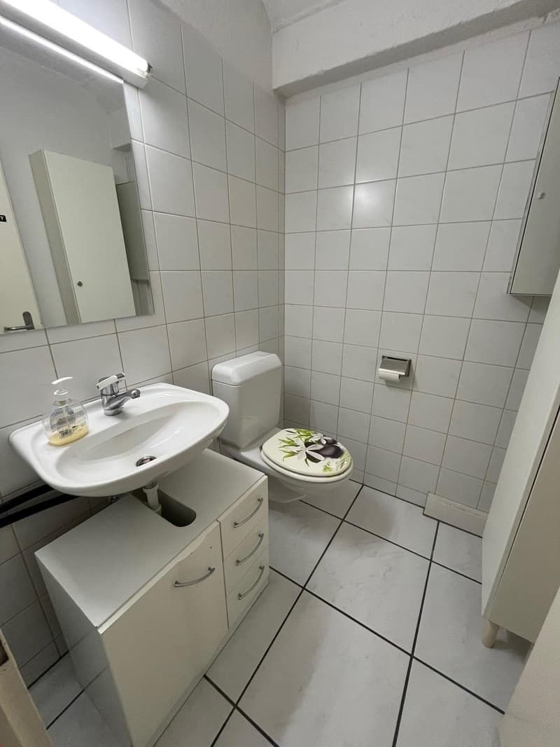 White tiles, mirror, sink, white toilet, white storage cabinet, soap dispenser, toilet paper holder, white ceiling light