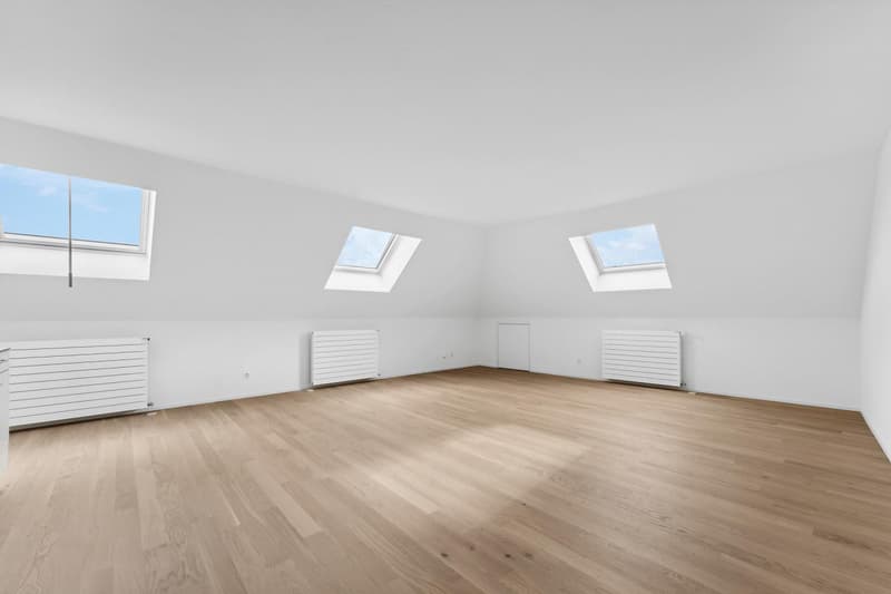 empty room, hardwood floor, white walls, three skylights, heating radiators