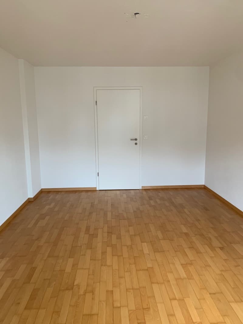 empty room with white walls and wooden floor, a white door with a silver handle