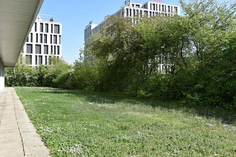 Al Ritmo della Città: Appartamento in Grattacielo Moderno Direttamente al BH Wankdorf (22)