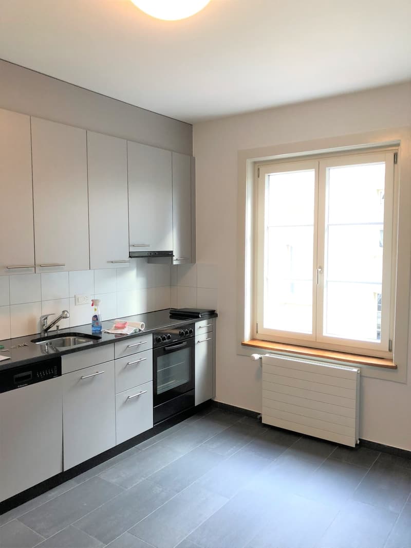 Appartamento accogliente di 2 camere con balcone nel quartiere di Breitenrain (2)