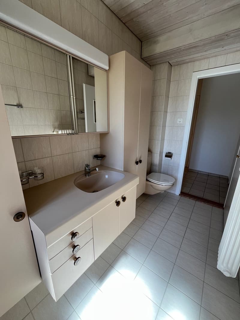 Beautiful 2-room apartment in the Obstberg quarter (5)