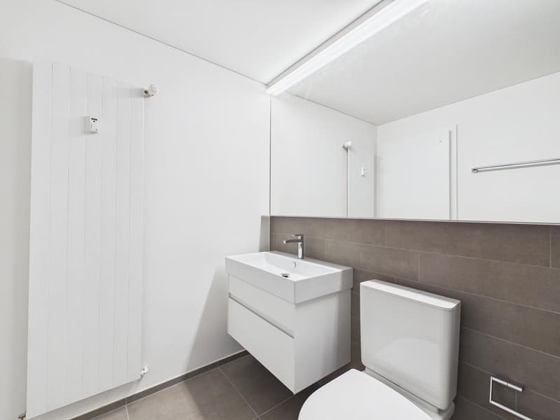 Appartamento di 2,5 locali frescamente ristrutturato con giardino idilliaco a Obstberg (17)