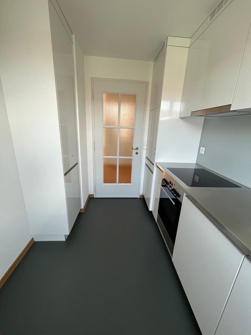 appartement ensoleillé de 2,5 pièces avec loggia près d'Elfenau (2)
