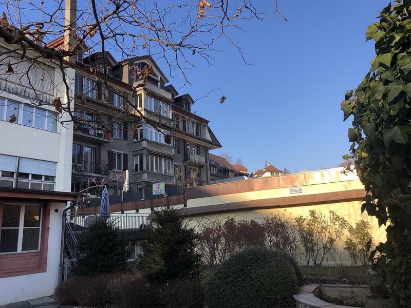Spazio commerciale con giardino e terrazza sul tetto direttamente sotto la Laube (3)