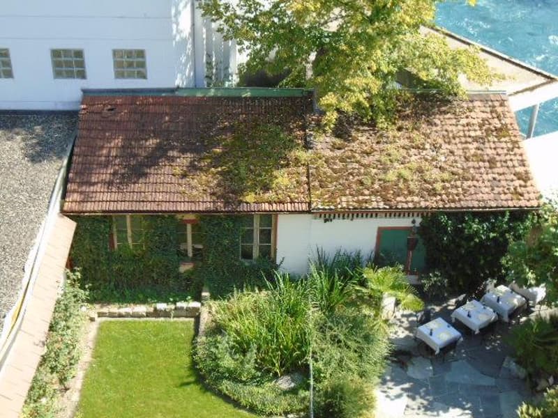 Spazio commerciale con giardino e terrazza sul tetto direttamente sotto la Laube (2)