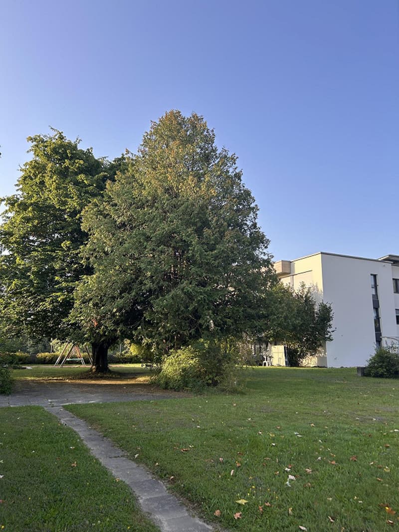 moderne & gemütliche 2.5-Zimmerwohnung in Schwarzenburg (14)