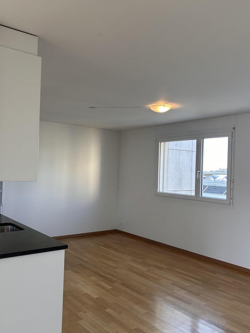 3.5-room attic apartment with a wonderful mountain panorama (8)
