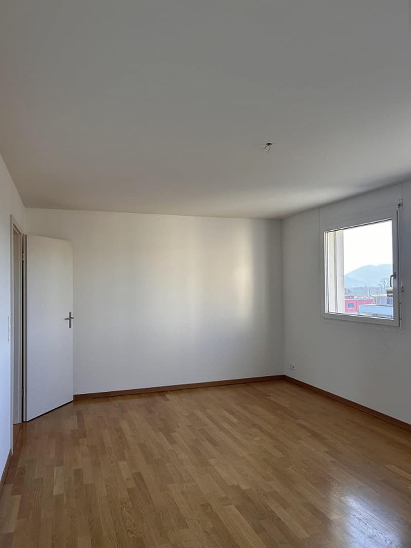 3.5-room attic apartment with a wonderful mountain panorama (16)