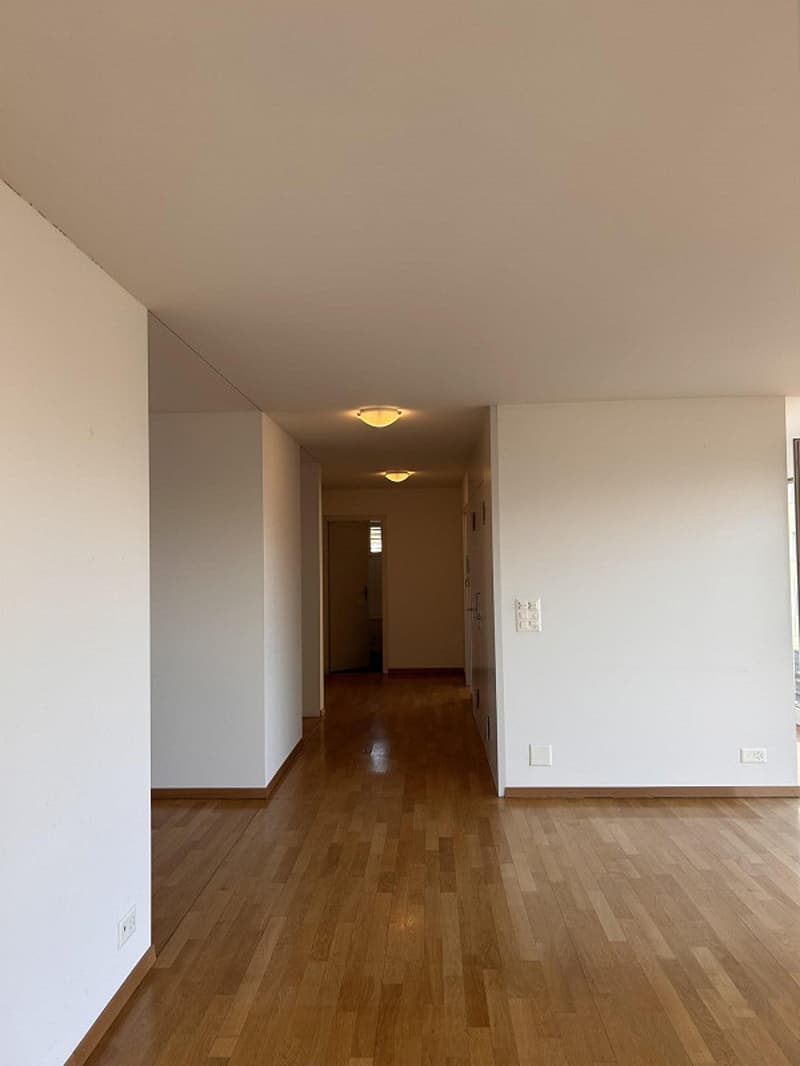 3.5-room attic apartment with a wonderful mountain panorama (12)