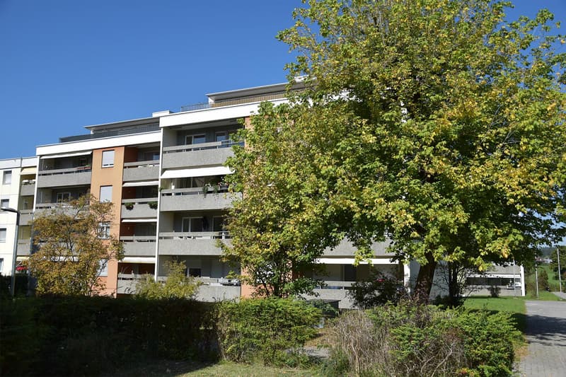 3.5-room attic apartment with a wonderful mountain panorama (22)