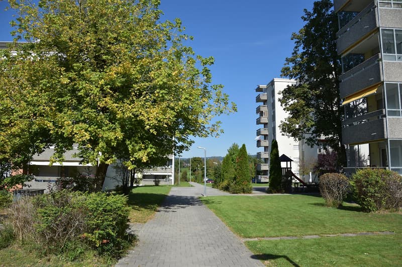 3.5-room attic apartment with a wonderful mountain panorama (23)