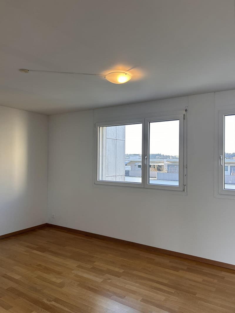 3.5-room attic apartment with a wonderful mountain panorama (11)