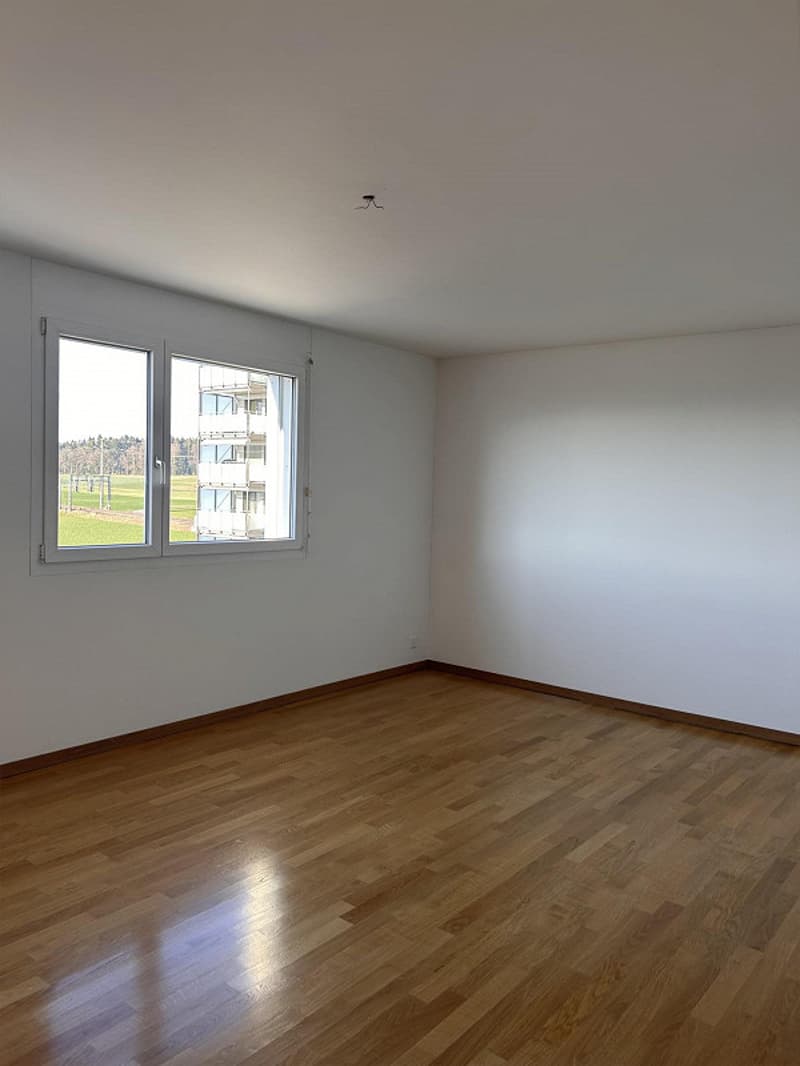 3.5-room attic apartment with a wonderful mountain panorama (15)