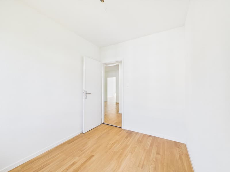 frisch sanierte & helle 4.5-Zimmerwohnung an zentraler Lage (13)