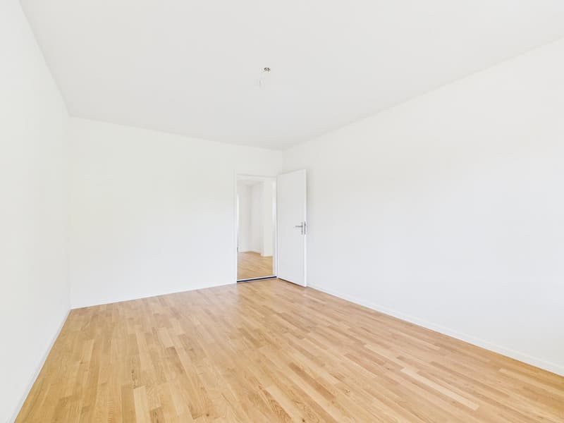 frisch sanierte & helle 4.5-Zimmerwohnung an zentraler Lage (8)