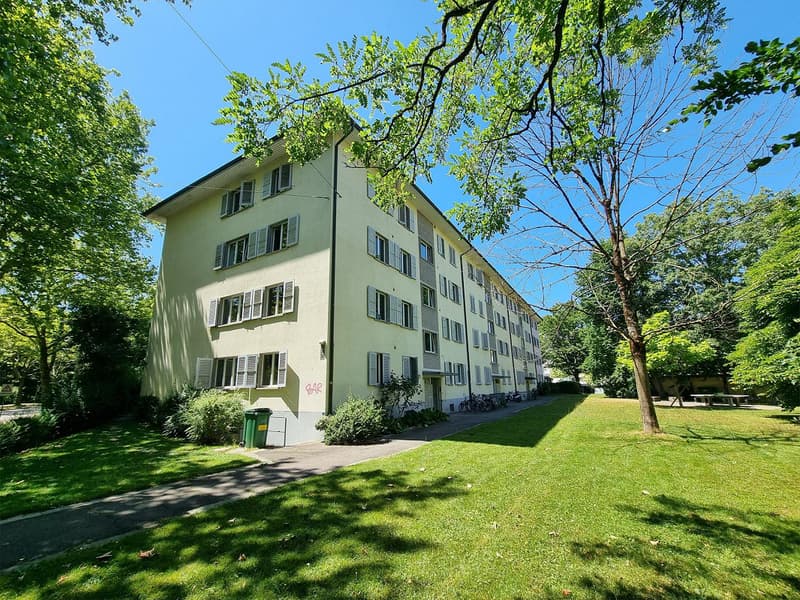 frisch sanierte & helle 4.5-Zimmerwohnung an zentraler Lage (20)