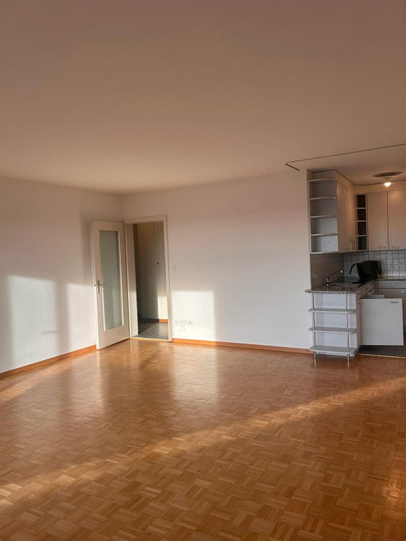 grosszügige & zentrale 1-Zimmerwohnung im Wankdorf (1)