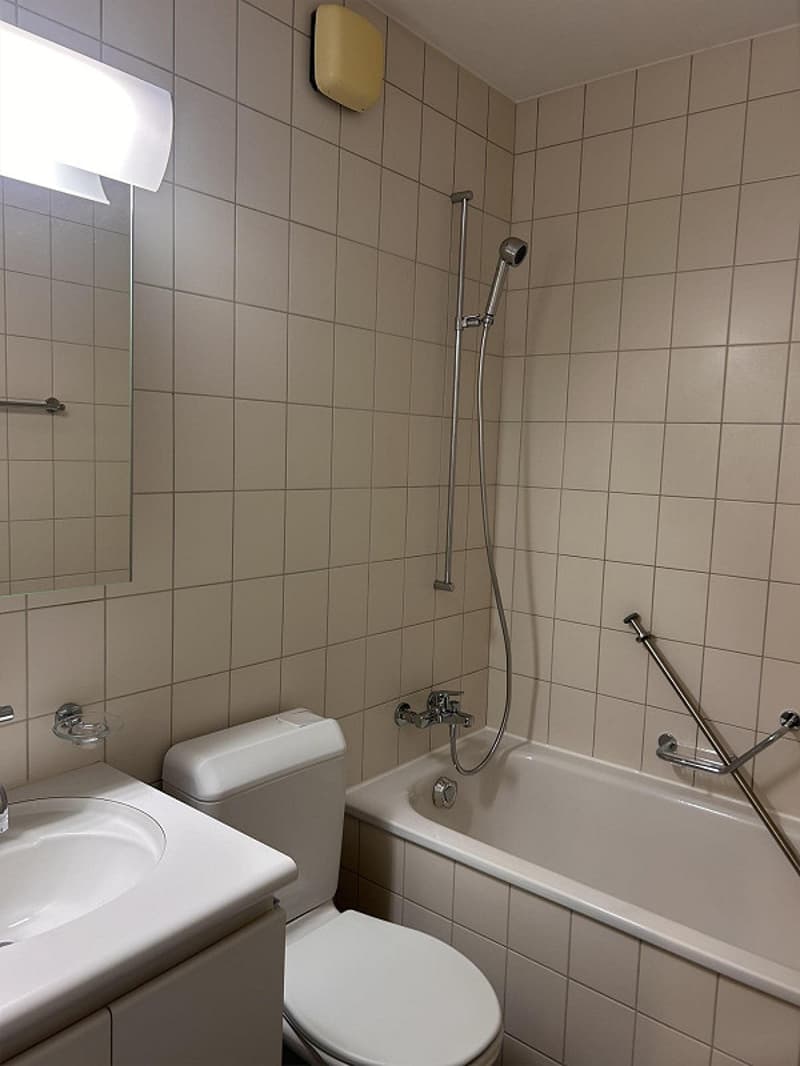 grosszügige & zentrale 1-Zimmerwohnung im Wankdorf (8)