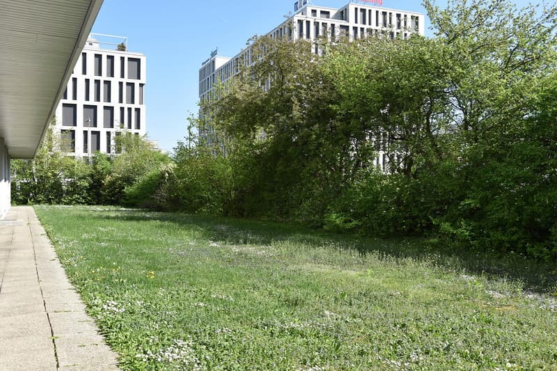 grosszügige & zentrale 1-Zimmerwohnung im Wankdorf (14)