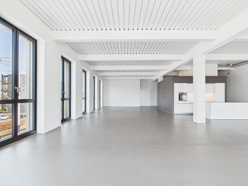 Appartamento loft moderno 2 camere vicino a Westside (1)