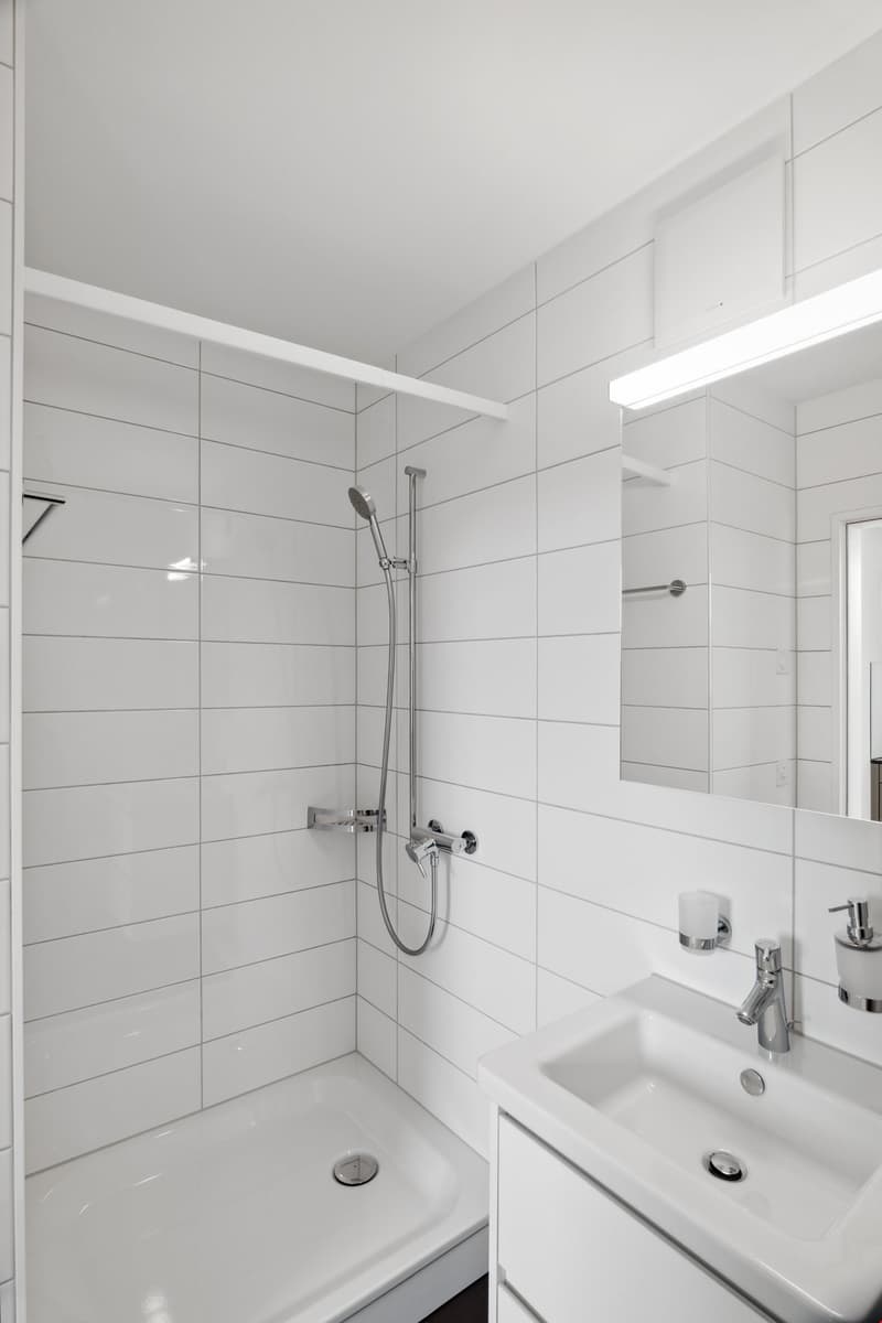 Beautiful 2.5-room attic apartment in Zollikofen (7)