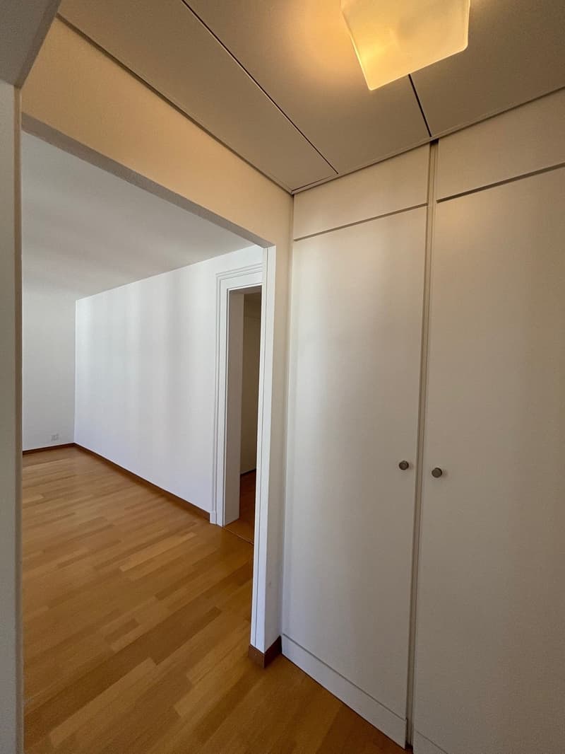 neu renovierte 3-Zimmerwohnung im Berner Länggassquartier (10)