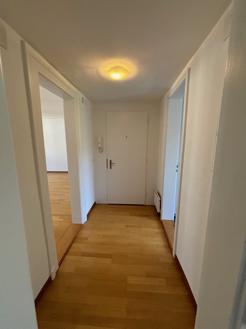neu renovierte 3-Zimmerwohnung im Berner Länggassquartier (9)