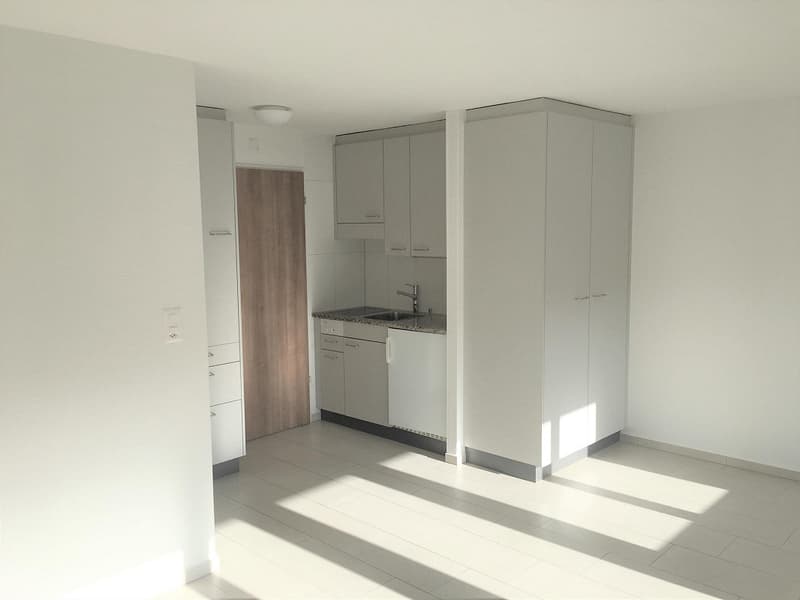 1-Zimmerwohnung im Länggassquartier (1)