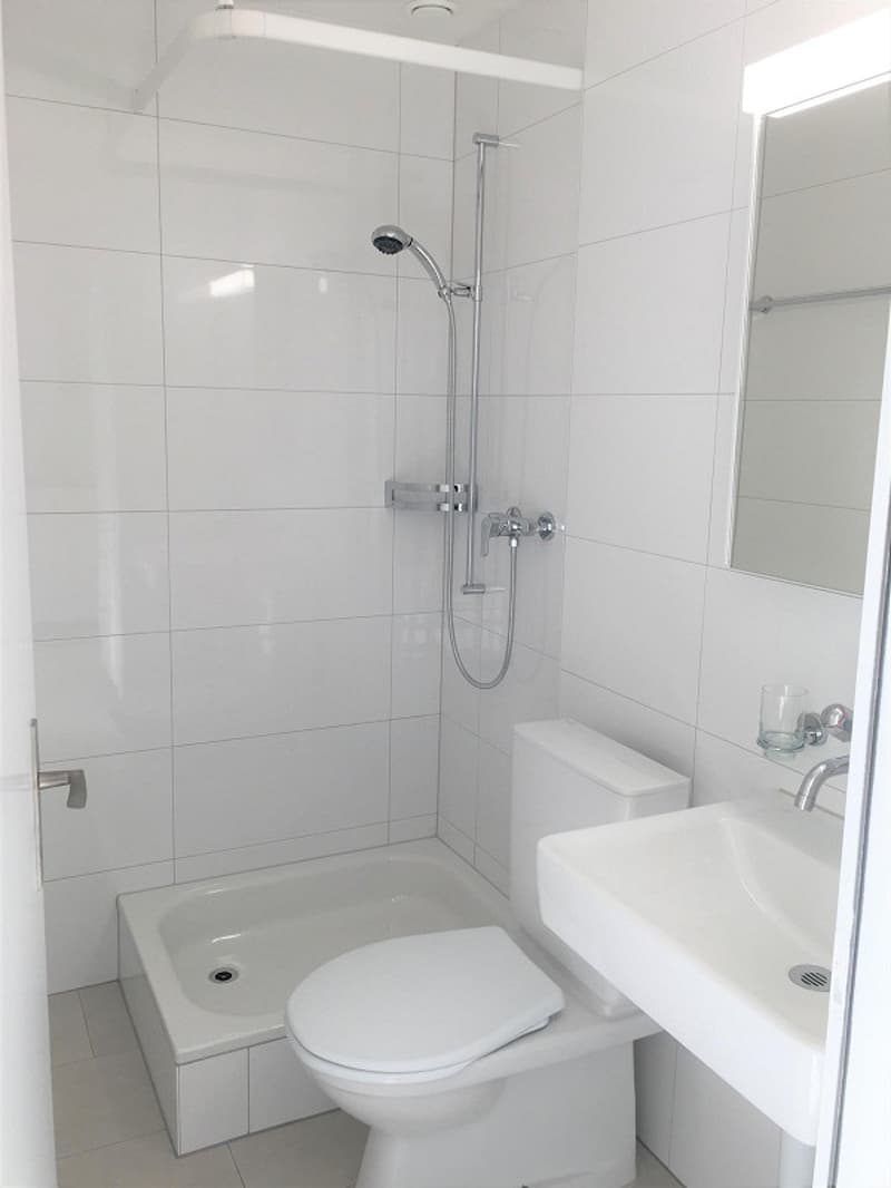 1-Zimmerwohnung im Länggassquartier (3)