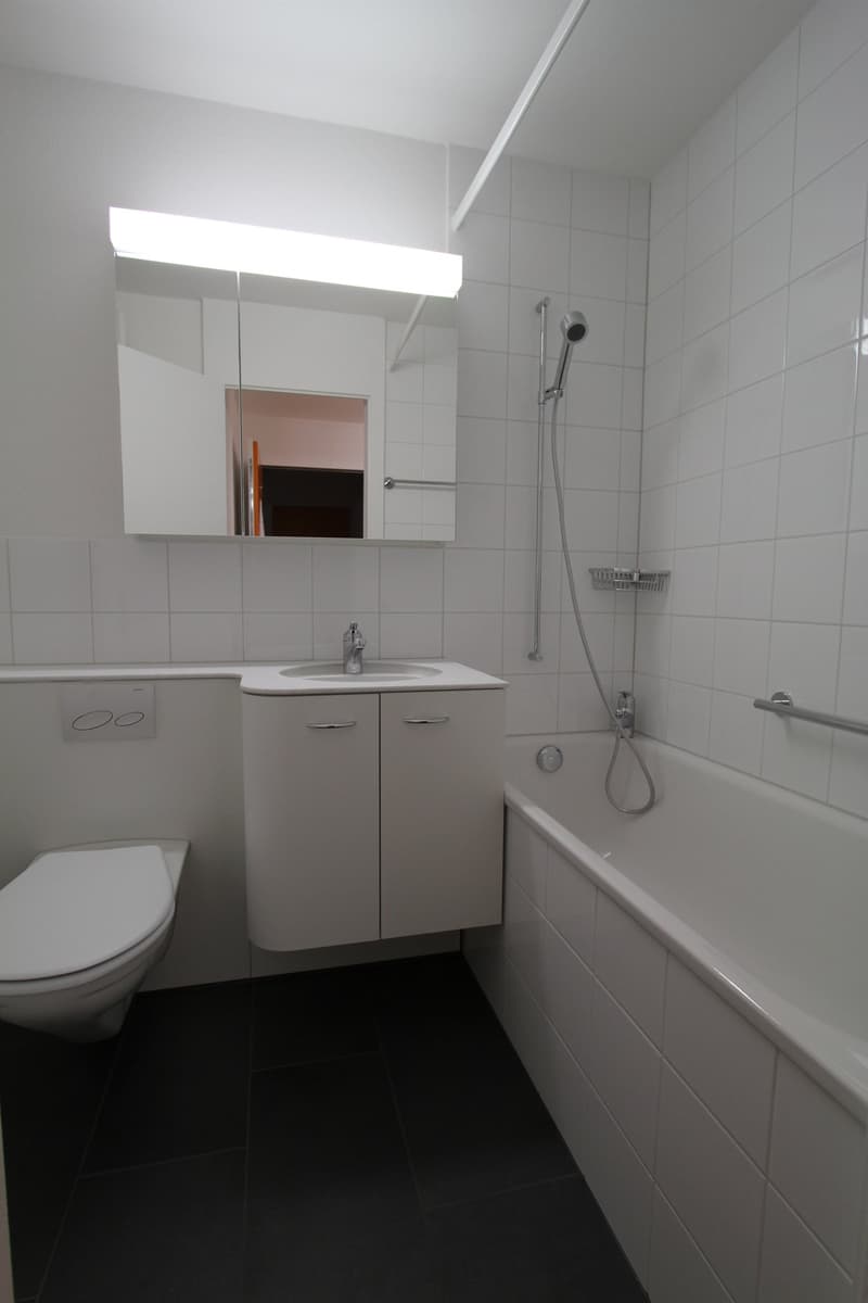 moderne, helle 3 -Zimmerwohnung in Münsingen (5)