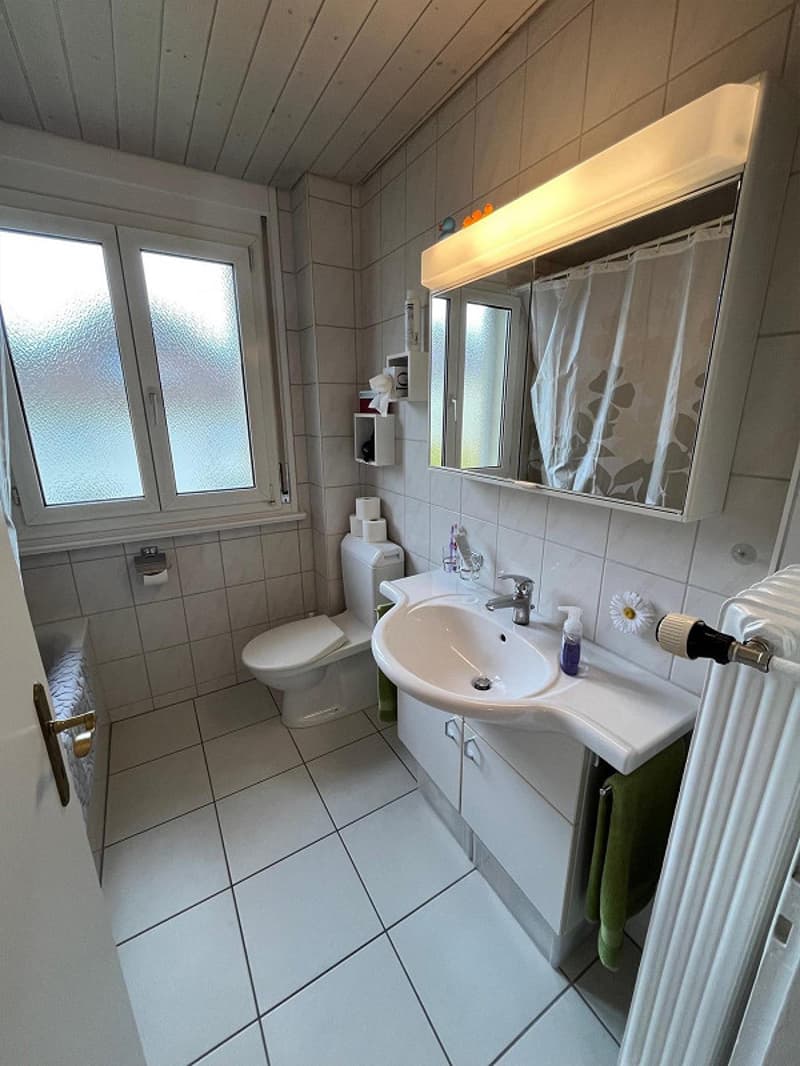 3.5-Zimmerwohnung in ruhigem Quartier (6)