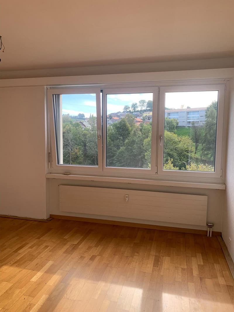 Modernes Wohnen im Grünen: Erstbezug nach Sanierung (16)