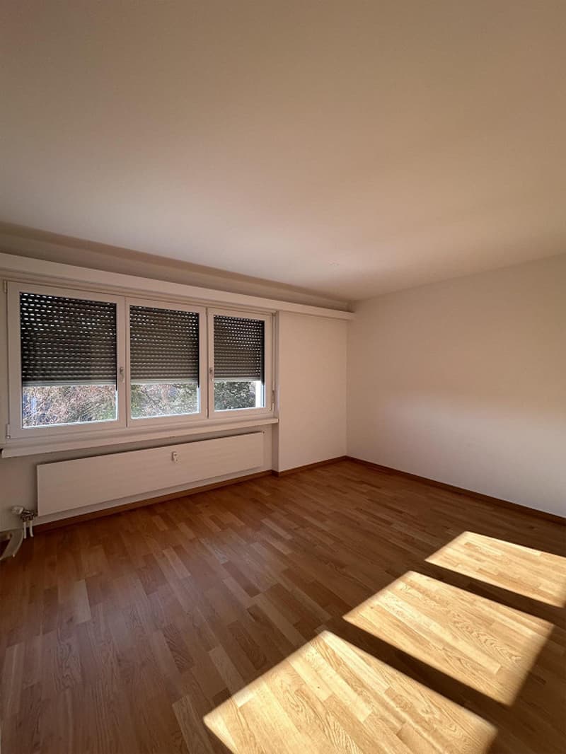 Ihr neues Zuhause wartet: frisch sanierte 3.5 Zimmerwohnung (12)
