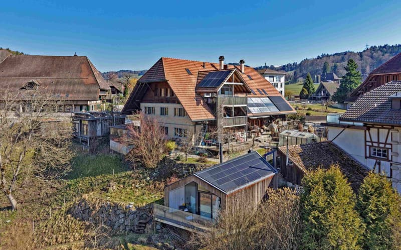 Beautifully situated on a large plot of land - huge attic apartment with additional house and a very large garden (4)