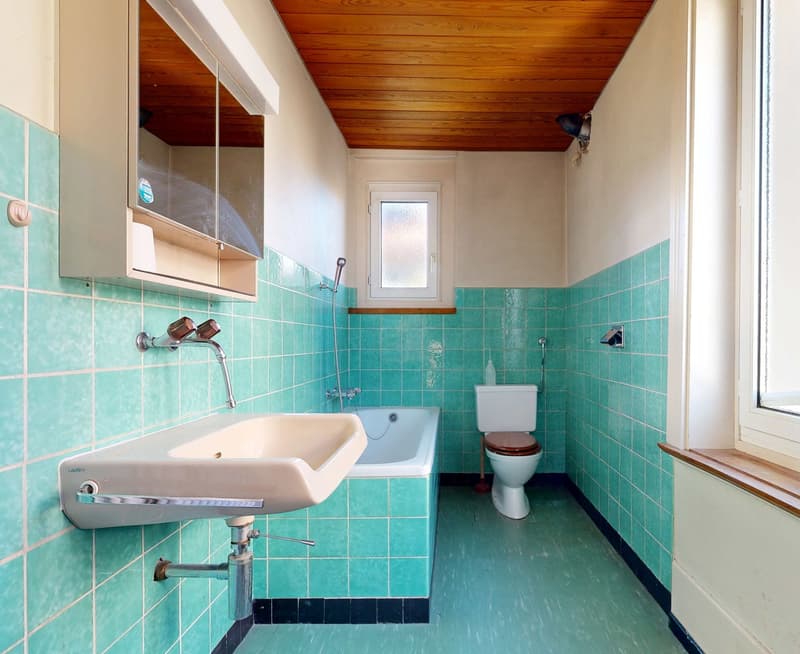A dignified house with a huge surroundings and ideal location, so large that two apartments are possible (18)
