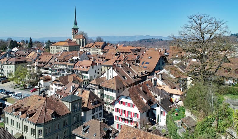Une propriété de ville ancienne digne avec beaucoup de potentiel et un jardin magnifiquement conçu (7)