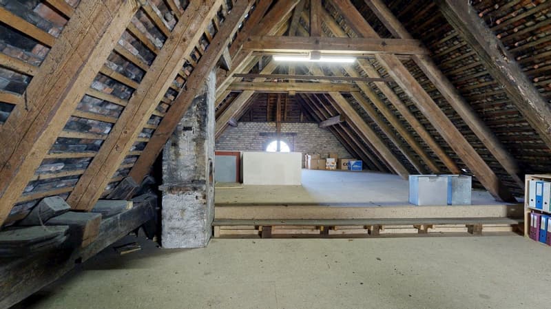 Une propriété de ville ancienne digne avec beaucoup de potentiel et un jardin magnifiquement conçu (22)